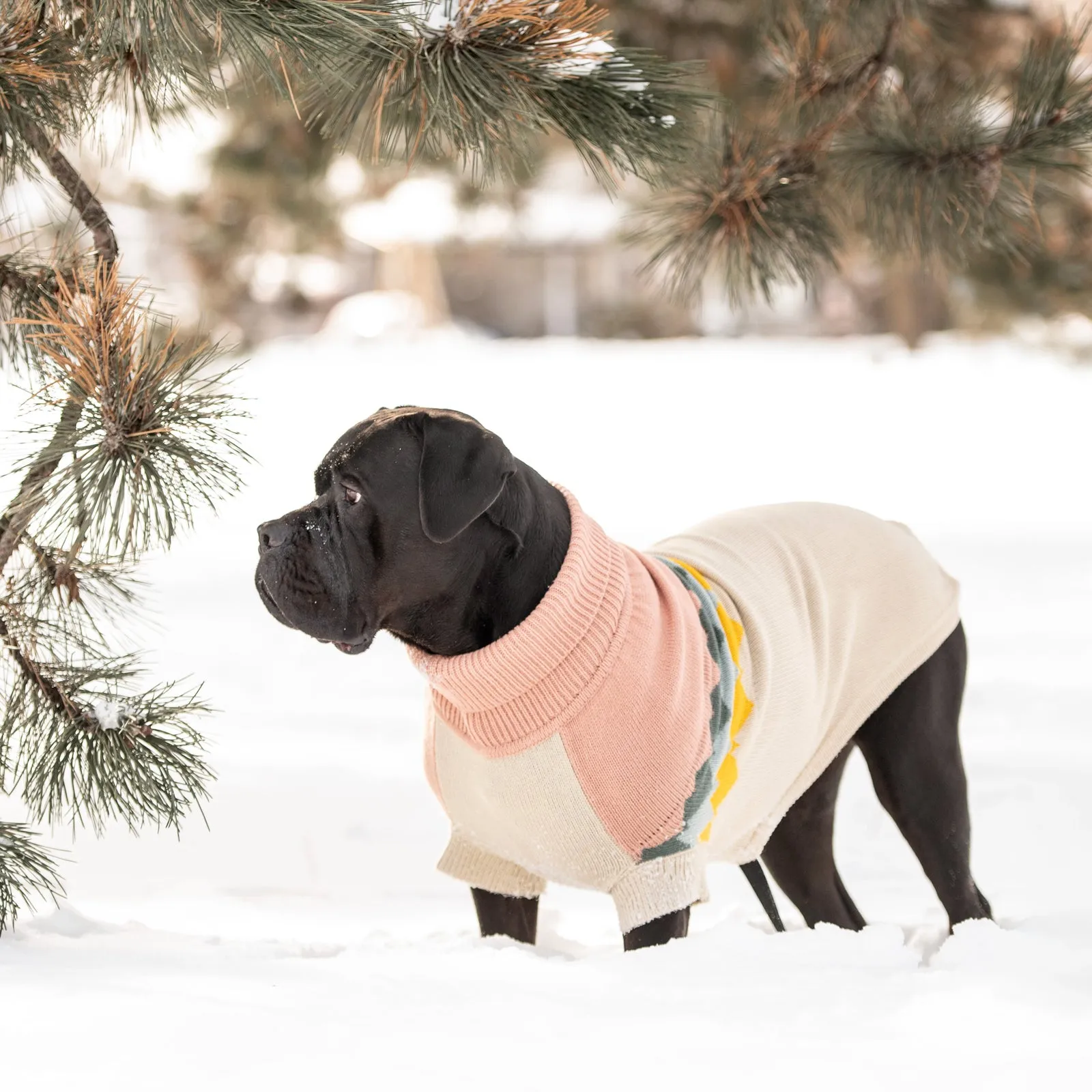 Fireside Sweater